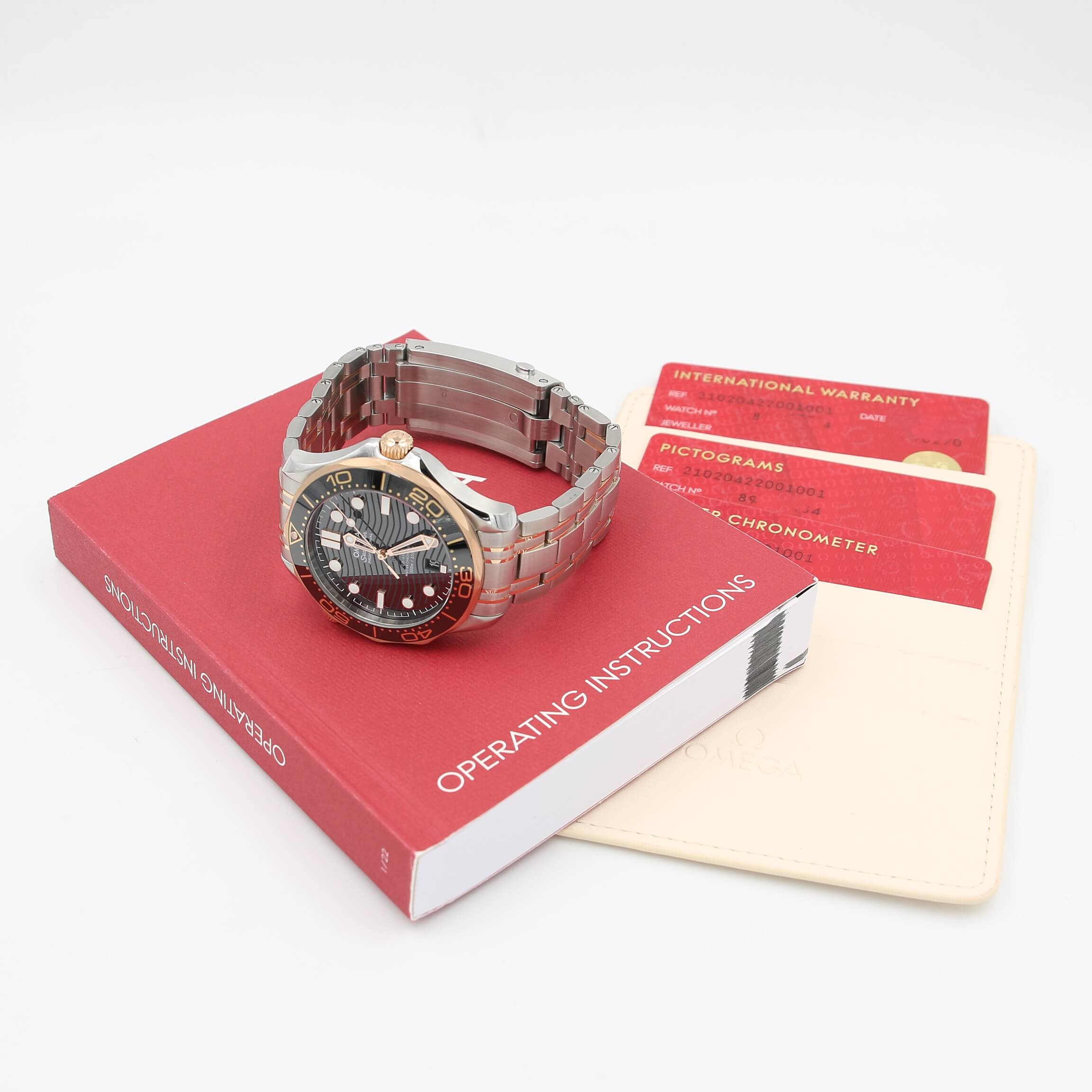 Omega Seamaster Co-axial ref. 210.20.42.20.01.001 Steel/Gold - Image 4